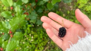 Thumbnail of post image 145