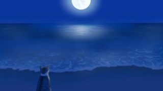 Thumbnail of post image 012