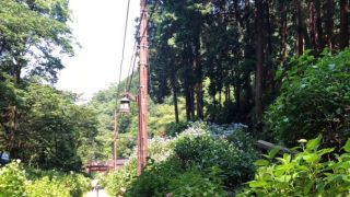 Thumbnail of post image 002