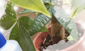 Thumbnail of post image 126