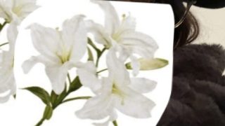 Thumbnail of post image 003