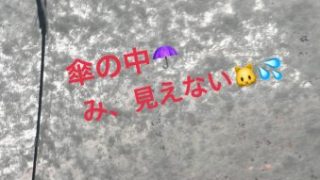 Thumbnail of post image 185