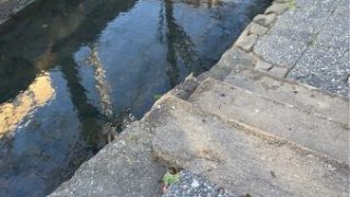 Thumbnail of post image 026