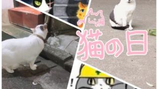 Thumbnail of post image 127