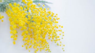 Thumbnail of post image 102