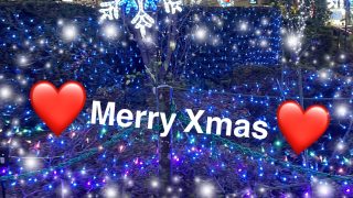 Thumbnail of post image 131