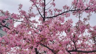 Thumbnail of post image 101