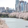 交通案内 - 東京大神宮