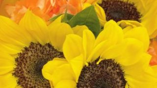 Thumbnail of post image 131