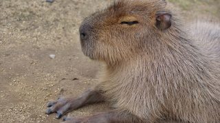 Thumbnail of post image 013