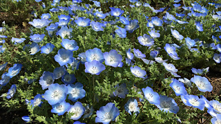 Thumbnail of post image 091