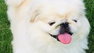 Thumbnail of post image 117