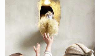 Thumbnail of post image 111