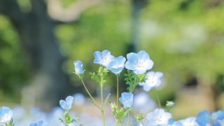 Thumbnail of post image 088