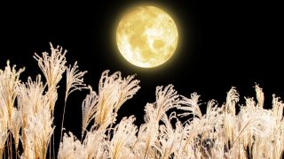 Thumbnail of post image 014