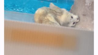 Thumbnail of post image 140