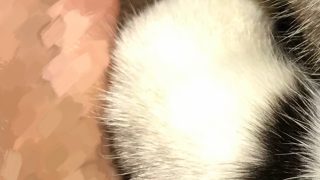 Thumbnail of post image 165
