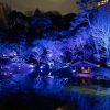 東京・白金台の八芳園で冬のライトアップイベント 12月21日~1月31日まで。入場無料