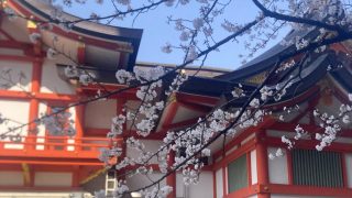 Thumbnail of post image 198