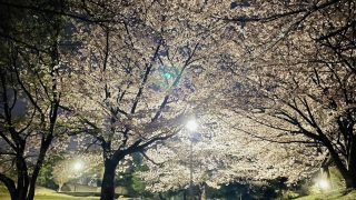 Thumbnail of post image 179