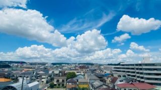 Thumbnail of post image 116