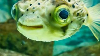 Thumbnail of post image 043