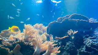 Thumbnail of post image 013