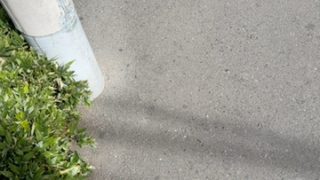 Thumbnail of post image 115