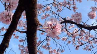 Thumbnail of post image 169