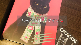 Thumbnail of post image 033