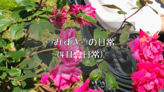 Thumbnail of post image 075