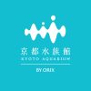 冬の風物詩「クラゲランプ」の幻想的な世界に浸る 「冬のあったかすいぞくかん」スタ