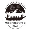 亀岡平和祭保津川市民花火大会 | 花火 | Japan, 京都府亀岡市