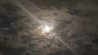 Thumbnail of post image 175