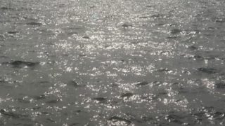 Thumbnail of post image 052