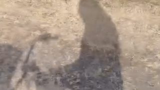 Thumbnail of post image 164
