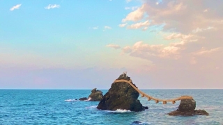 Thumbnail of post image 136