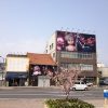 【瀬戸内国際芸術祭2013】瀬戸芸12島完全制覇まとめ : 旧レズ風俗代表ブログ