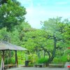 向島百花園～墨東歳時記～