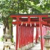 威徳稲荷神社（花園神社内） 東京レズビアン風俗レズっ娘クラブ