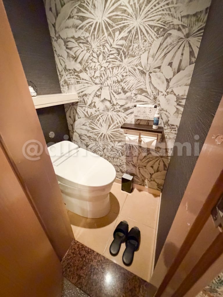 新宿のHOTEL W-BAGUS、201号室のトイレ