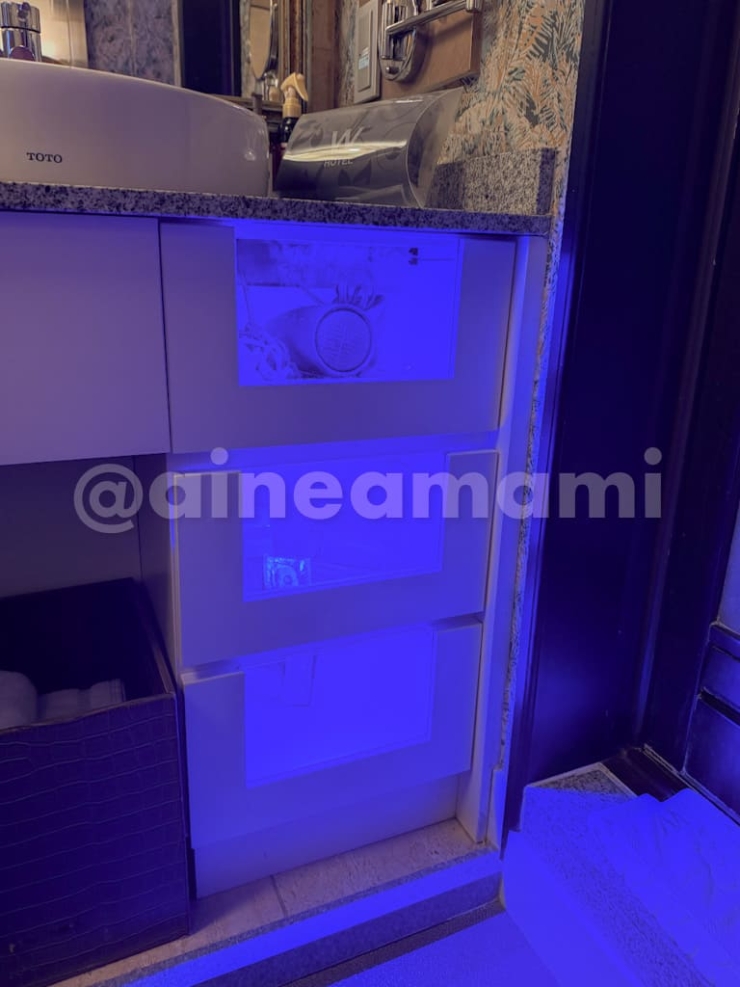 新宿のHOTEL W-BAGUS、201号室の洗面台下