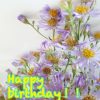 -9/9☆お誕生日おめでとうございます！(*ˊᗜˋﾉﾉ*✭- : しきブログ