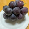 ぶどう🍇 | レズ風俗キャスト愛理（あいり）のブログ