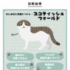 みんなファビュラスな猫になっちゃう❤️アノ診断🐱🐈✨ : つきはブログ