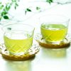 緑茶（お茶）の栄養成分や期待できる健康効果について紹介 - 健康情報コラム