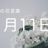 【1月11日】今日の花言葉 | レズ風俗キャストもあブログ