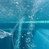 🐟まこ 近況報告🌱大速報🐟 : まこブログ
