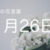 【1月26日】今日の花言葉 | レズ風俗キャストもあブログ