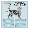 皆さんしている『猫診断』してみた〜かほネコ診断〜 #レズ風俗 #猫 #アメリカンショー
